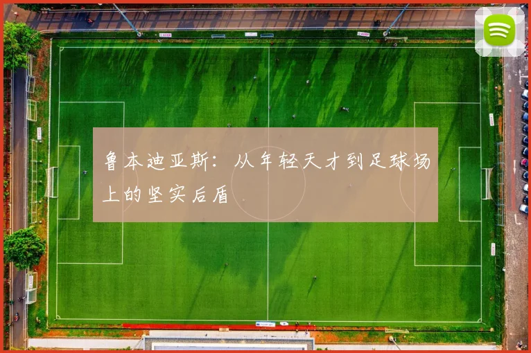 鲁本迪亚斯：从年轻天才到足球场上的坚实后盾